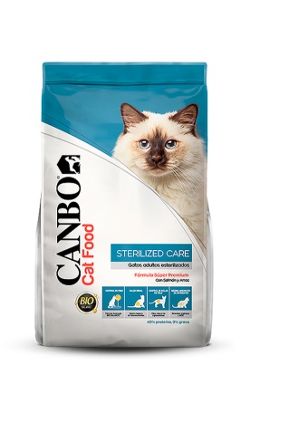 canbo-gatos-esterilizados